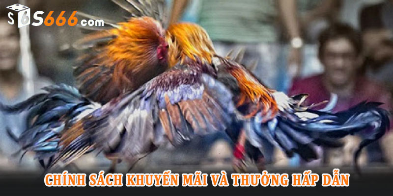 Một ưu điểm nổi bật khác của đá gà S666 là các chương trình khuyến mãi